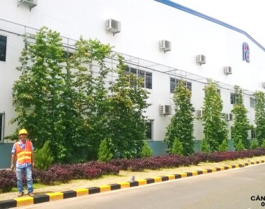 Thiết kế, Thi Công Cảnh Quan Công Ty