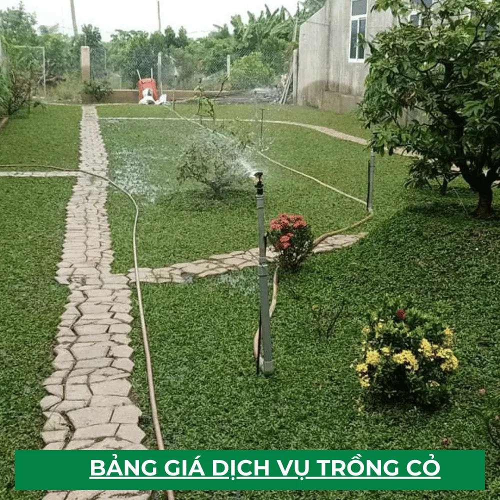 bang gia trong co cong trinh