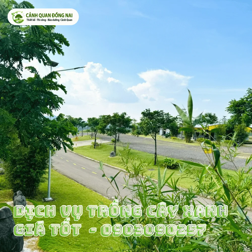 Dịch Vụ Trồng Cây Xanh Giá Tốt (3)