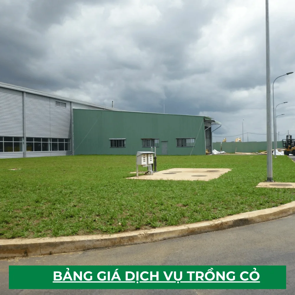 dich vu trong co cong ty