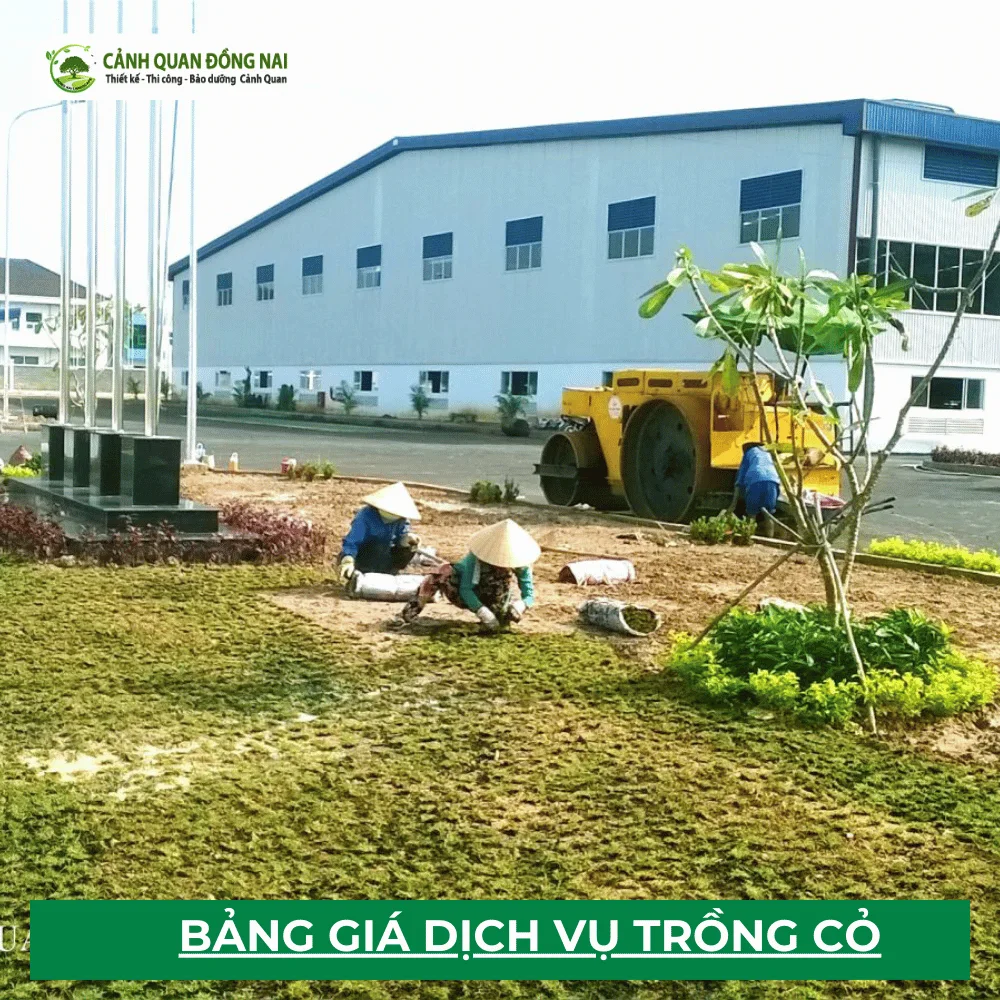 dịch vụ trồng cỏ tại Cảnh Quan Đồng Nai