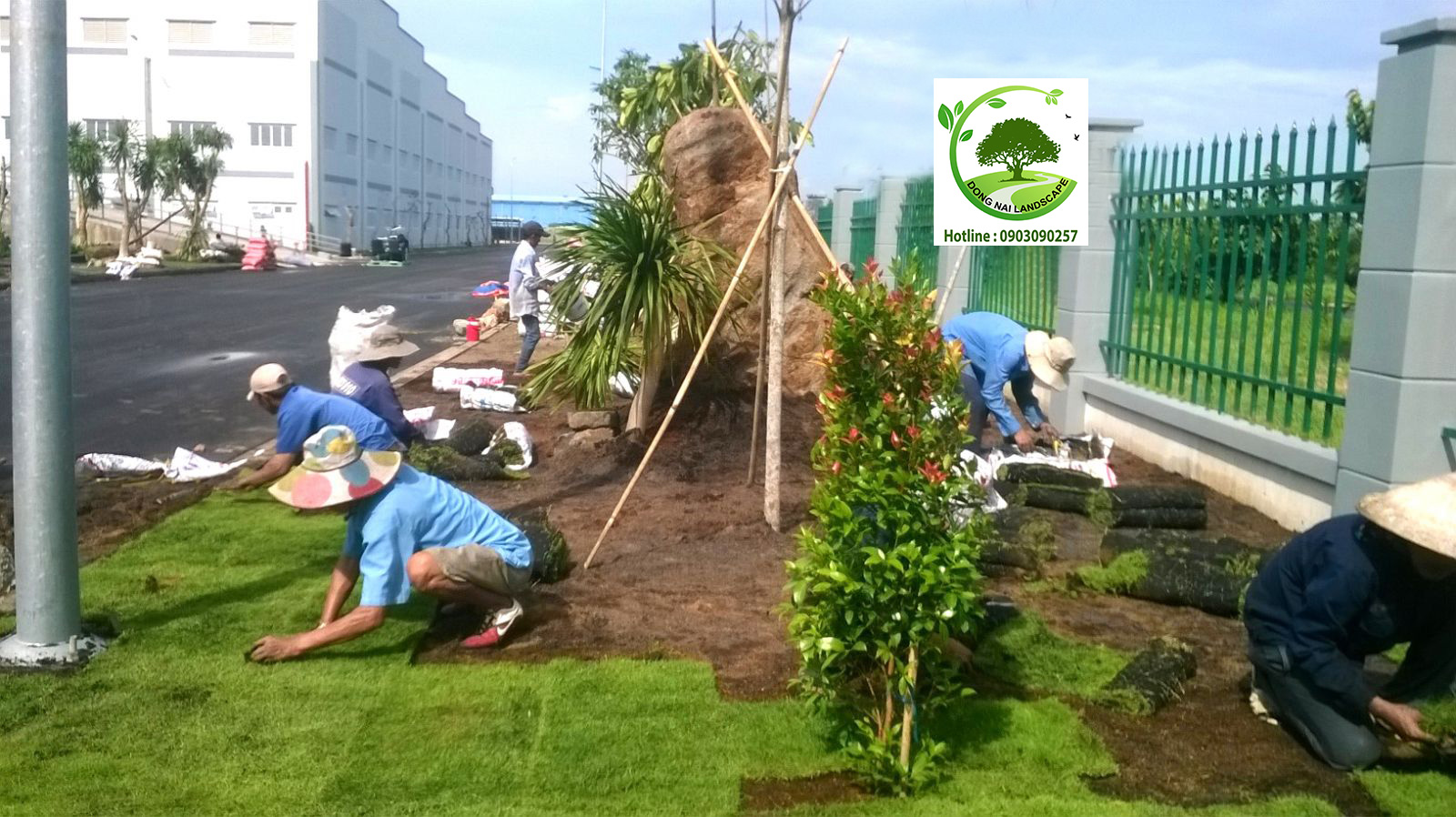 Thi công Trồng Cây xanh tại Nhà Máy Cổ Phần Bao Bì Việt Hưng Sài Gòn