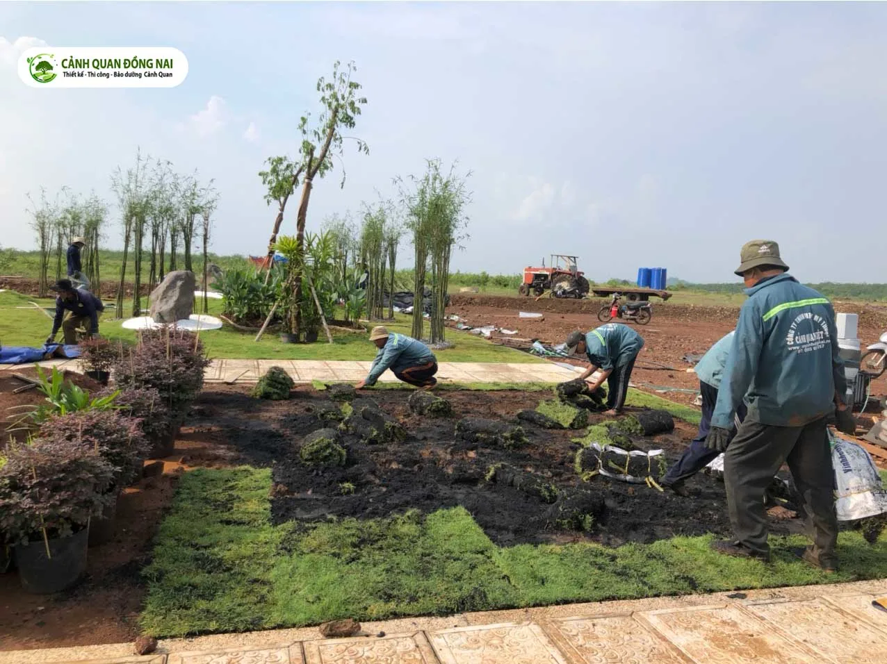 Trồng-cỏ-Các-Dự-Án-Resort