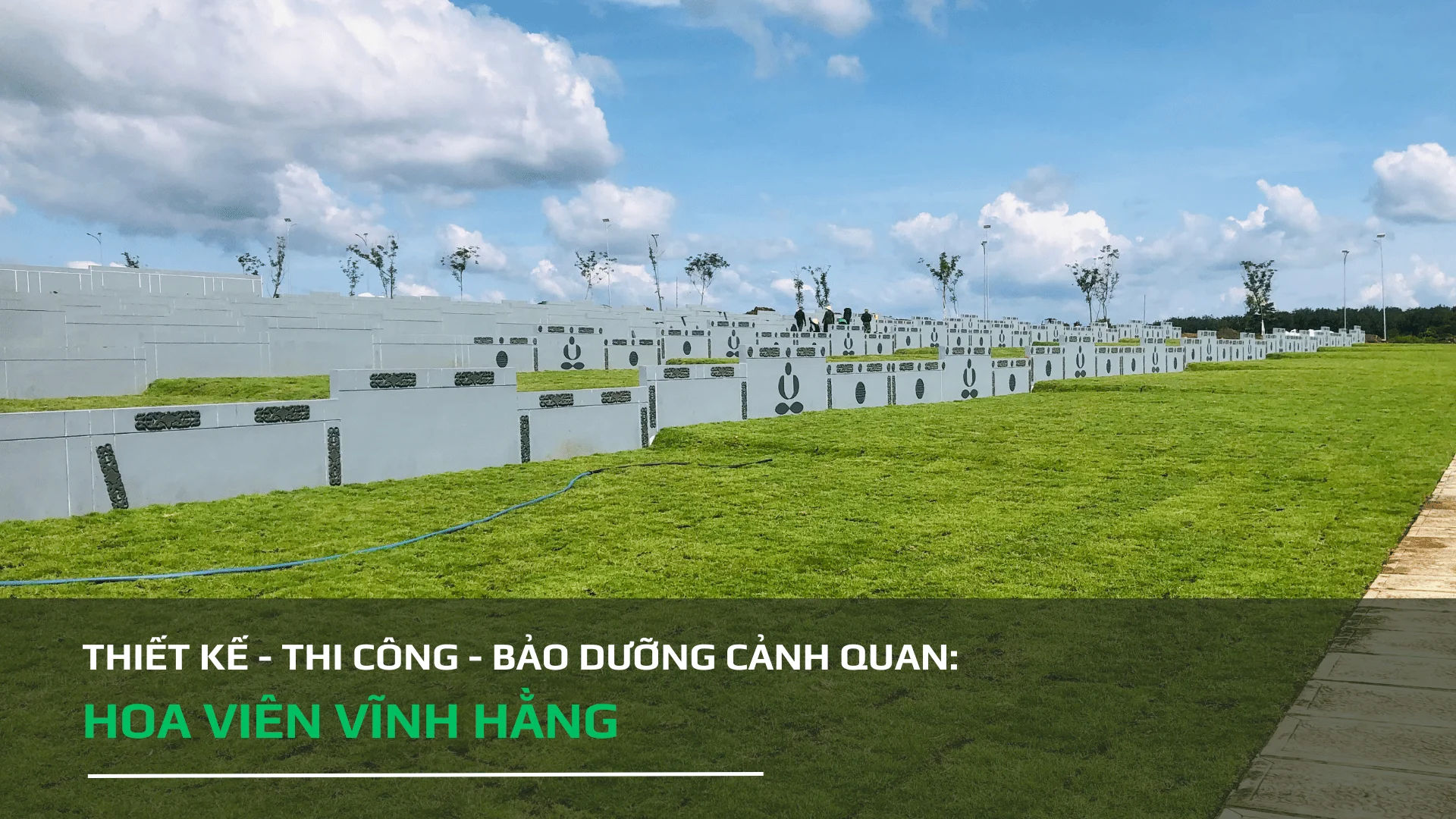 trong co cong vien vinh hang