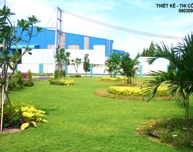 Cải Tạo Cây Xanh Khuôn Viên Sân Vườn Công Ty