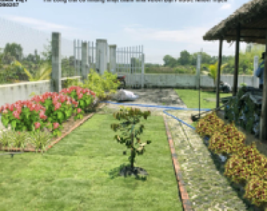 Thi công Cỏ Nhung Nhật trải thảm tại Đại Phước - Nhơn Trạch - Đồng Nai