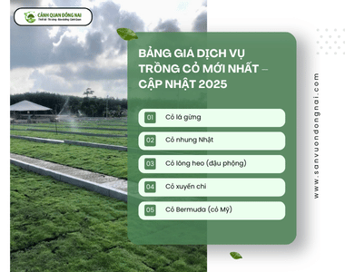 Bảng giá dịch vụ trồng cỏ mới nhất – Cập nhật 2025 từ CÔNG TY DỊCH VỤ CẢNH QUAN ĐỒNG NAI