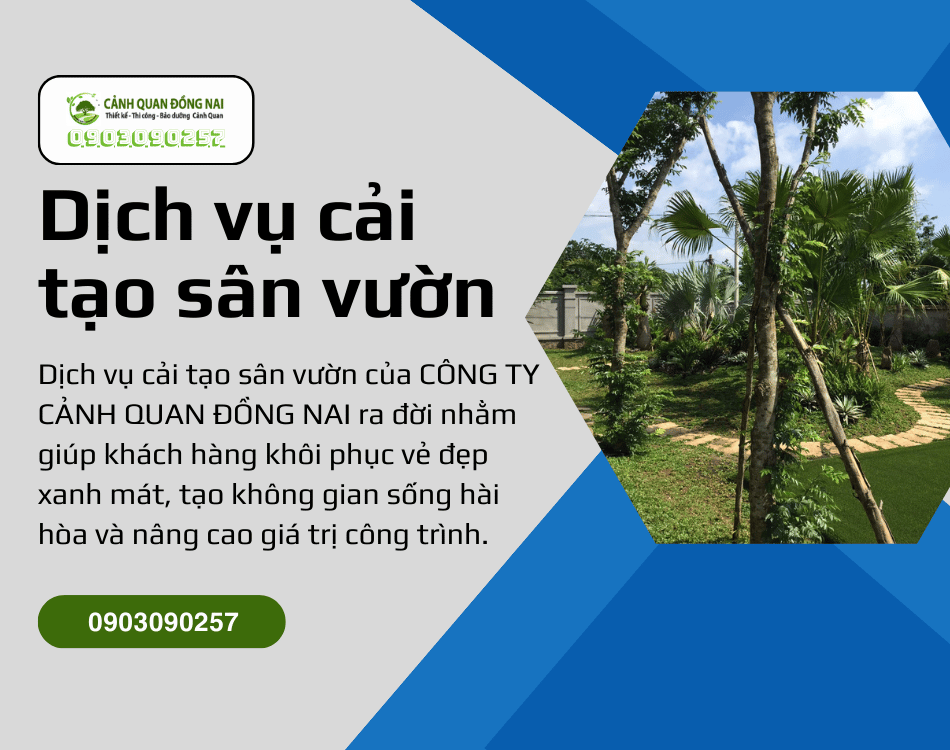 dich vu cai tao san vuon 1
