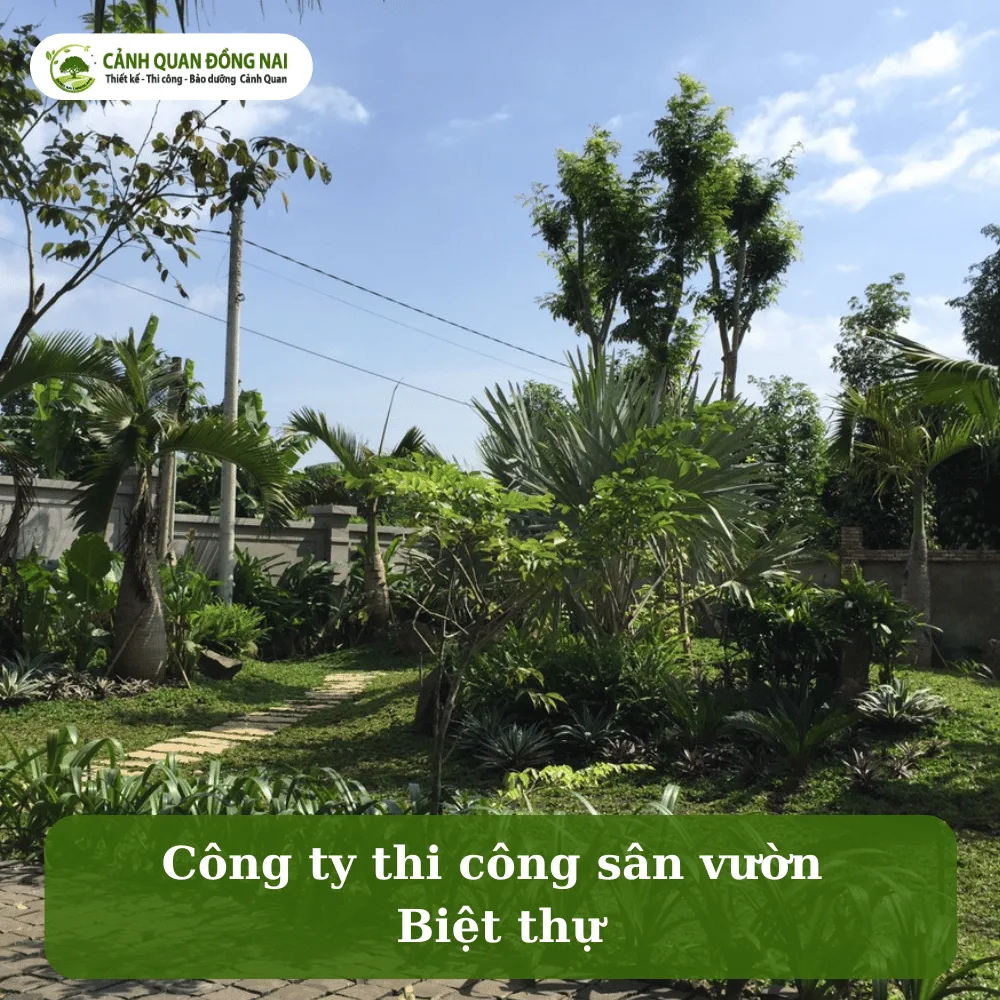 san vuon biet thu 1