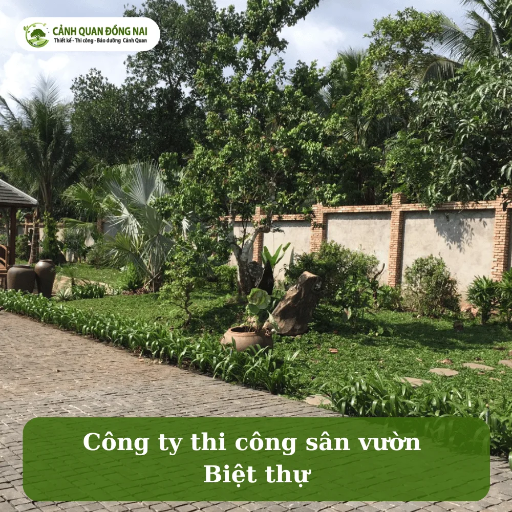 san vuon biet thu 12