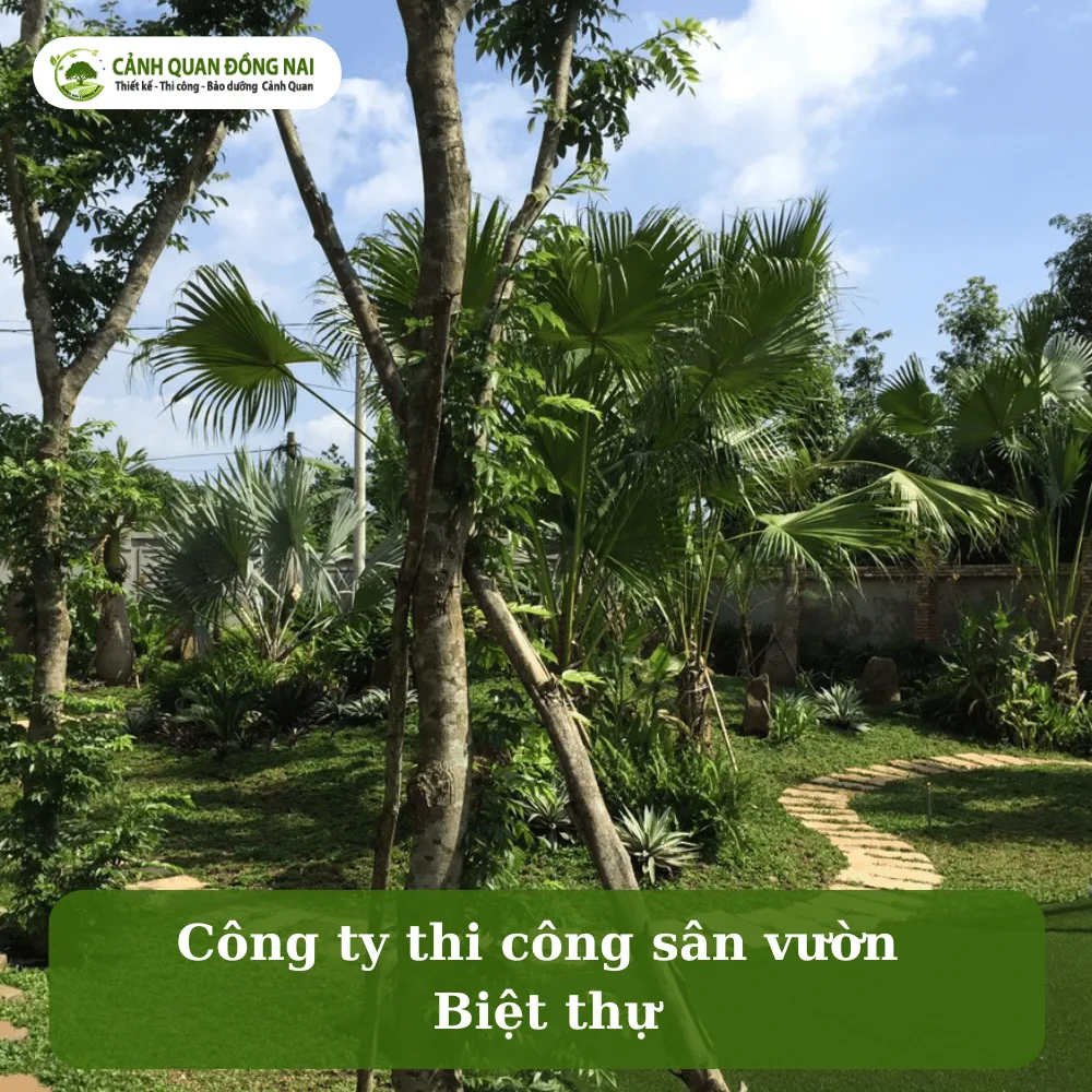 san vuon biet thu 3