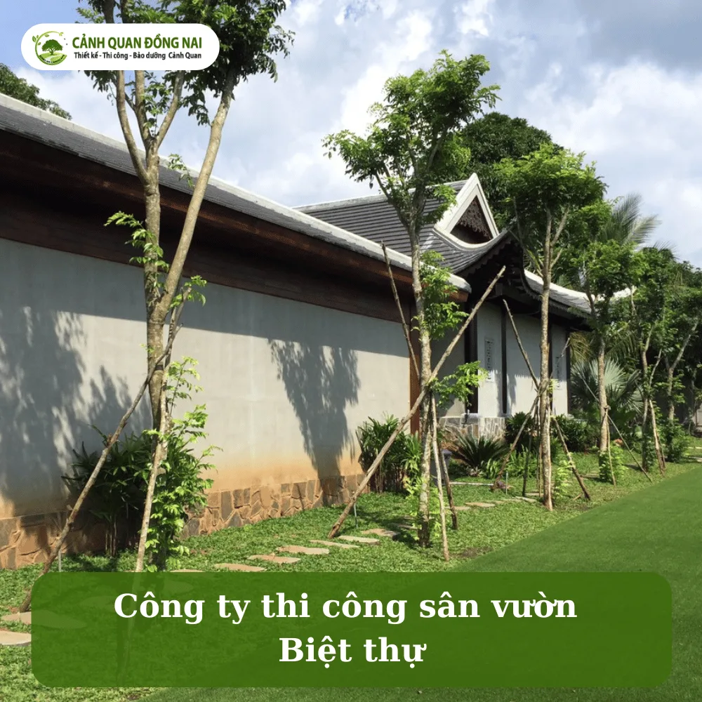san vuon biet thu 8