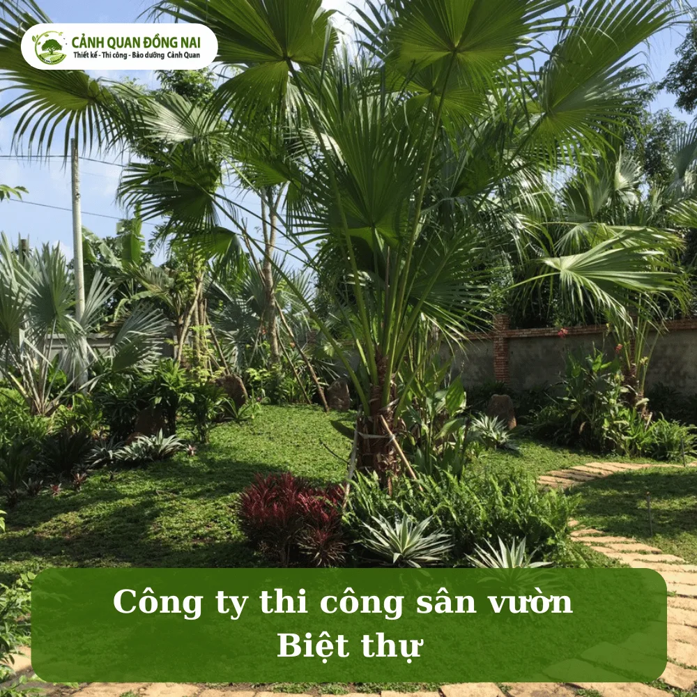 san vuon biet thu vung tau 1