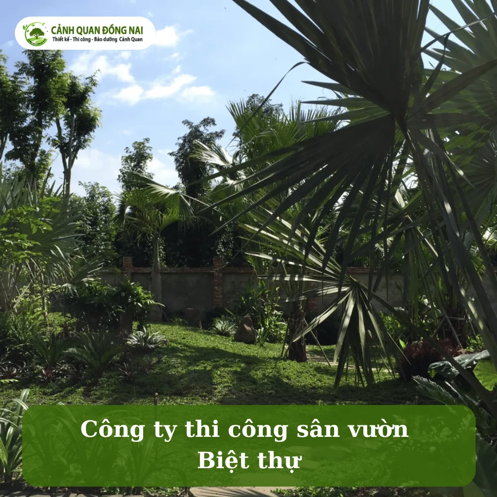 san vuon biet thu vung tau 3
