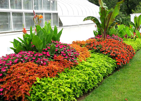 Bồn hoa, cây bụi quanh văn phòng