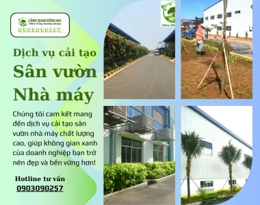 Cải Tạo Cây Xanh Khuôn Viên Sân Vườn Nhà máy