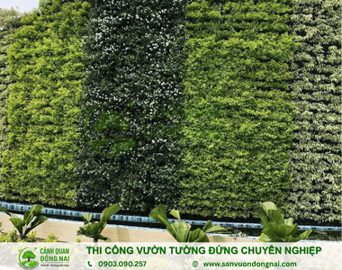 Thi Công Vườn Tường Đứng Chuyên Nghiệp