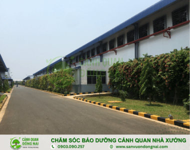 Chăm sóc bảo dưỡng cảnh quan nhà xưởng