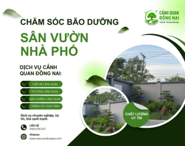 Chăm sóc bảo dưỡng sân vườn nhà phố