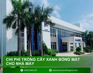 Chi phí trồng cây xanh bóng mát cho nhà máy