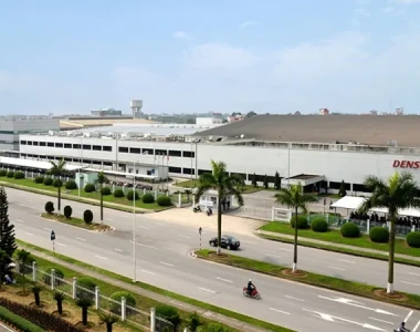 Dịch Vụ Trồng Cây Xanh Công Nghiệp