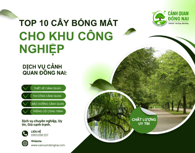 Top 10 loại cây xanh bóng mát được ưa chuộng nhất cho khu công nghiệp