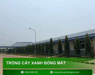 Trồng cây xanh bóng mát