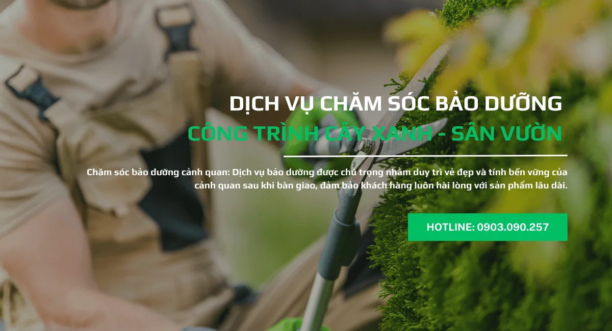DICH VU BAO DUONG CANH QUAN