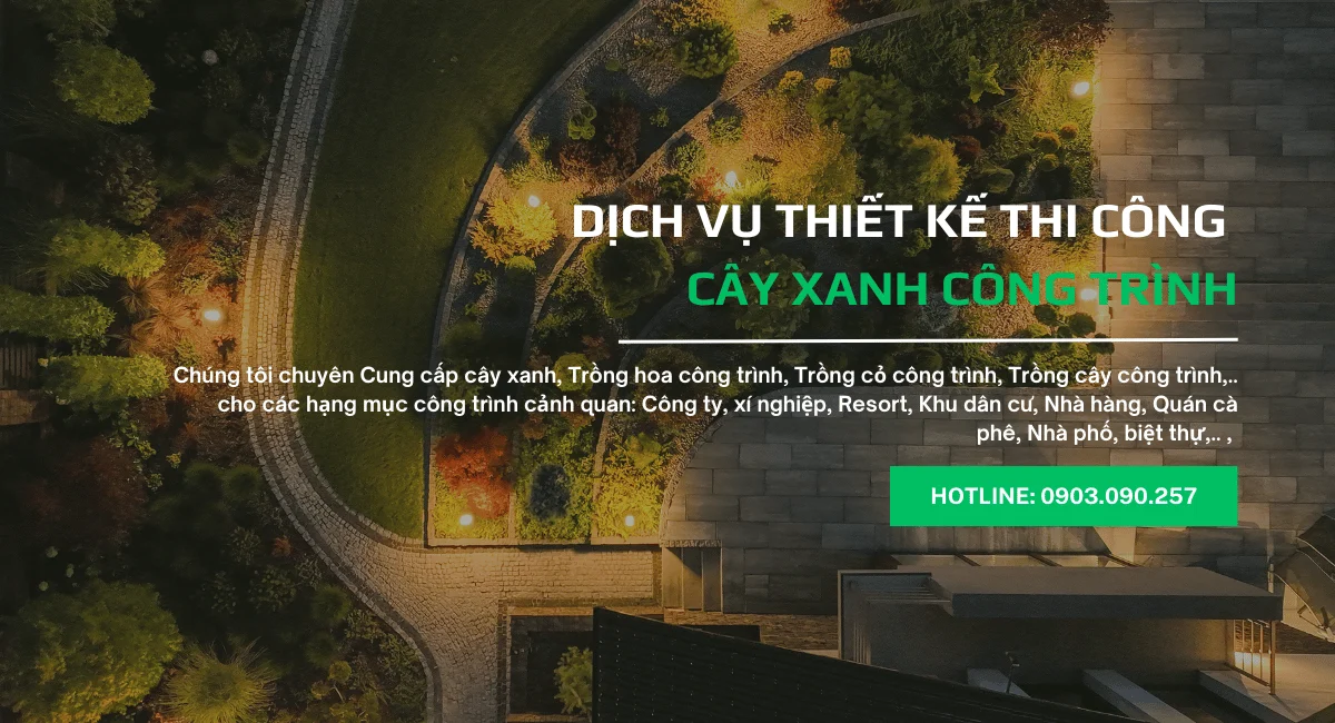 Dịch Vụ Cây Xanh