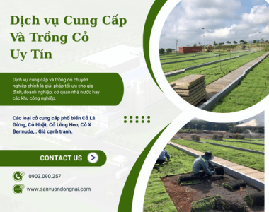 Dịch vụ Cung Cấp Và Trồng Cỏ Uy Tín từ Cảnh Quan Đồng Nai