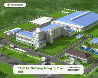 Thi Công Trồng Cỏ Trọn Gói