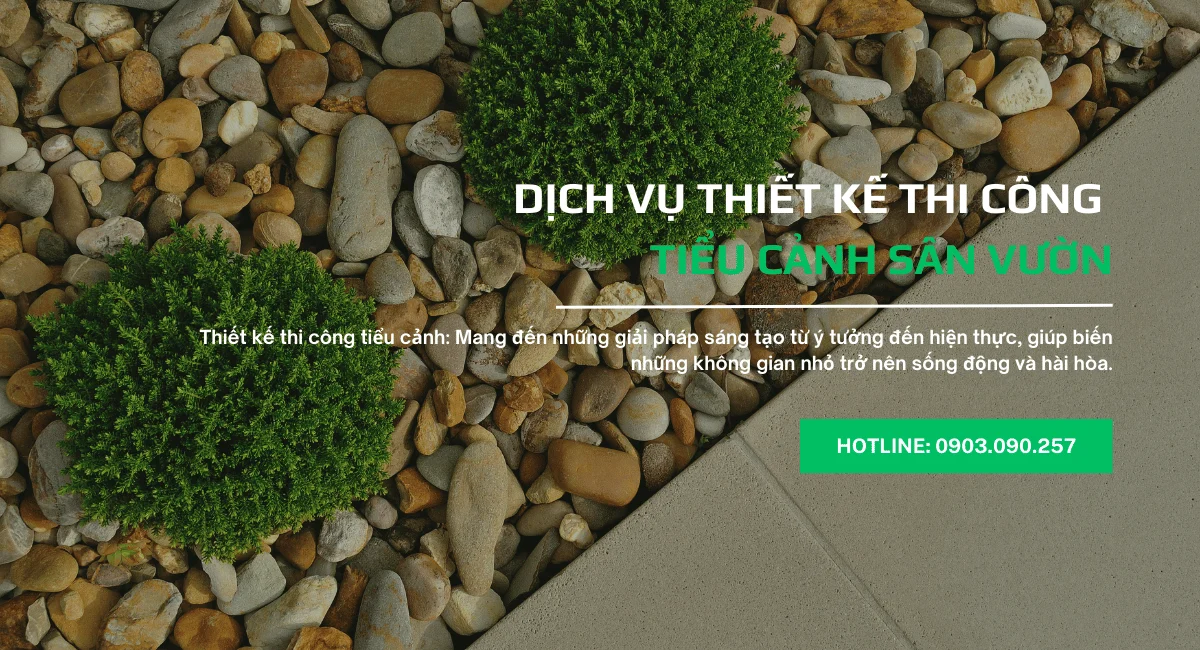 Dịch Vụ Tiểu Cảnh