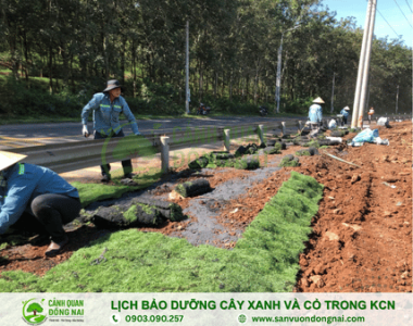 Lịch bảo dưỡng cây xanh và cỏ trong khu công nghiệp