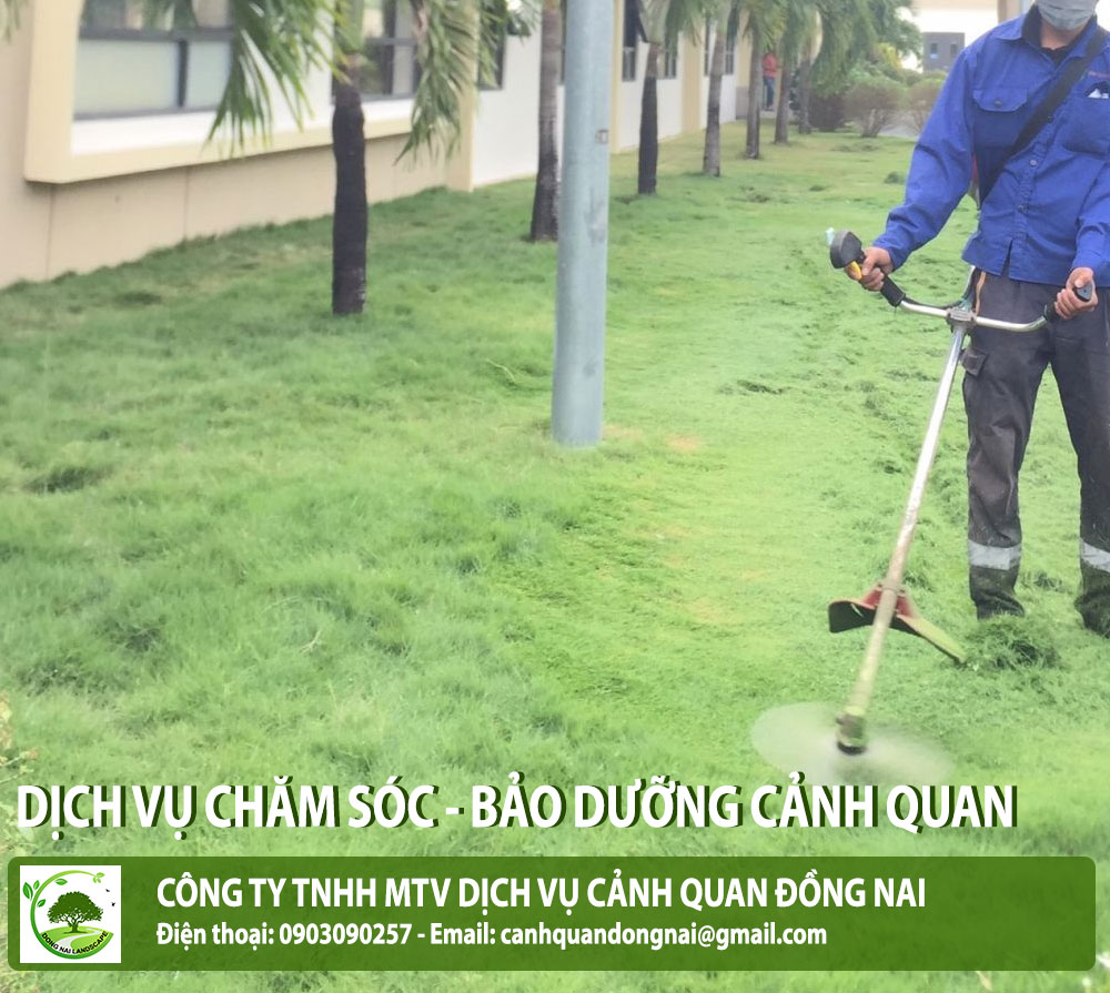 phat-hoang-co-khuon-vien