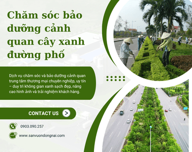 Dịch vụ Chăm Sóc Bảo Dưỡng Cảnh Quan Trung Tâm Thương Mại Chuyên Nghiệp