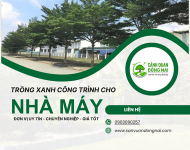 Trồng Cây Xanh Cho Nhà Máy
